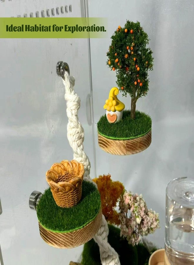Julang Jumping Spider Enclosure Accessories - Natural Wood Handmade Mini Forest Platforms with Magnetic Mounting for Climbing, Resting and Exploration - Image 5